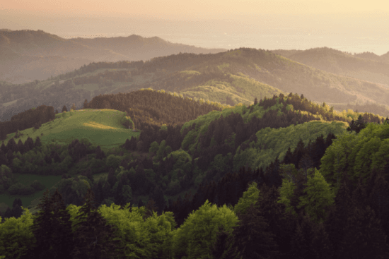 Why Are Biodiversity Credits Making Headlines?
