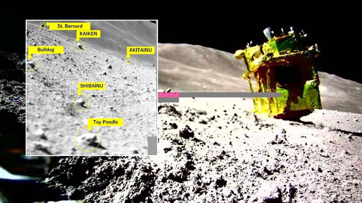 Japan's Moon Lander Survives Freezing Lunar Nights